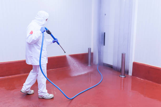 Best Solar Panel Cleaning  in Mcfarland, CA