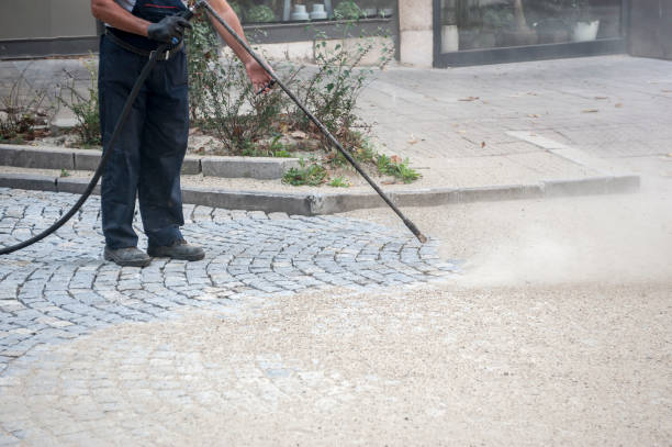 Best Fence Cleaning  in Mcfarland, CA