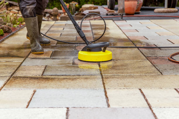 Animal Enclosure Cleaning in Mcfarland, CA